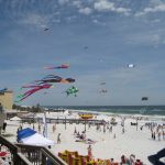 IMG_1956_8 (2)
