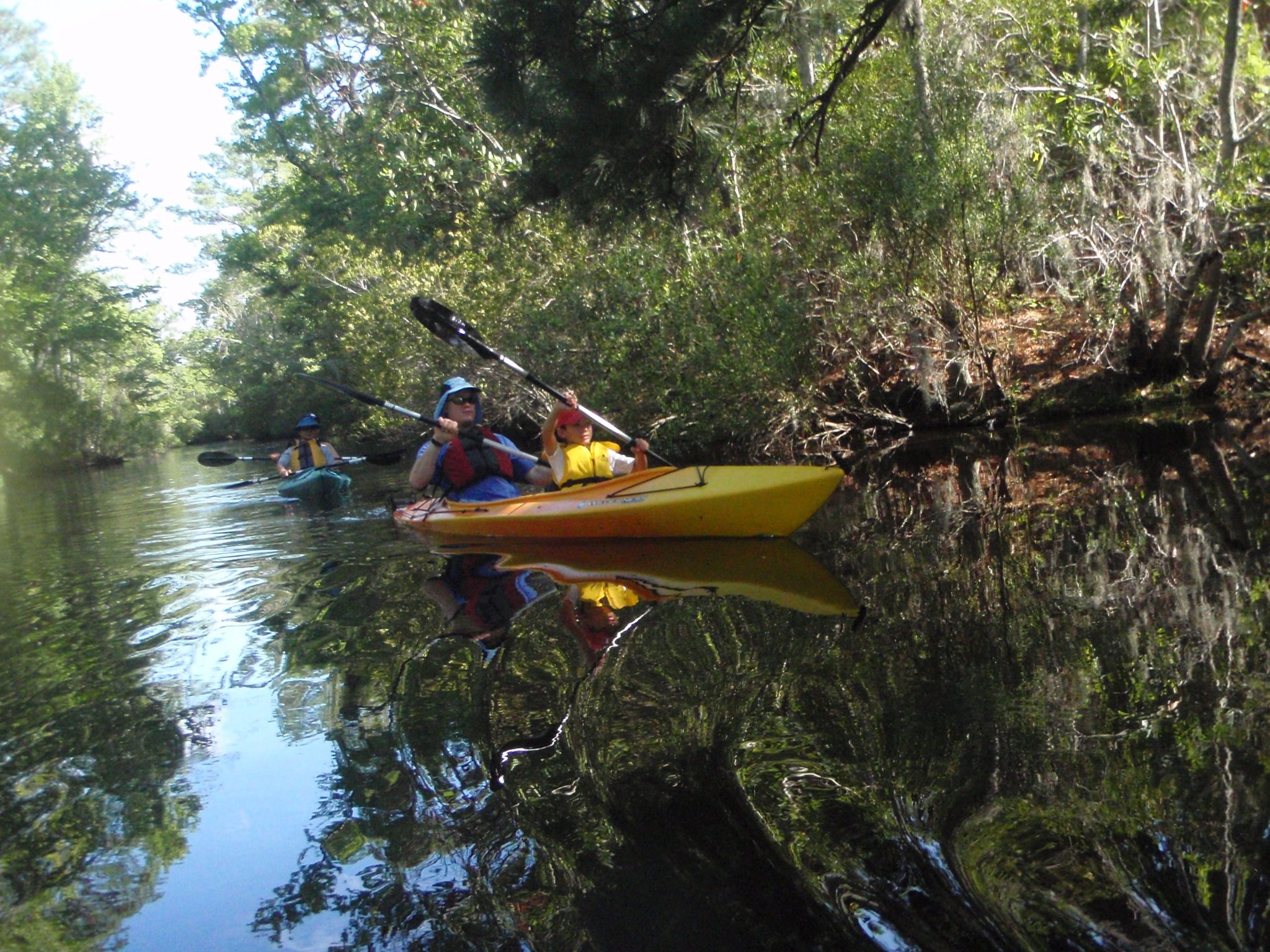 Alligator River Kayak Tour Kitty Hawk Kites