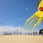 Kitty Hawk Kites Rogallo Kite Festival