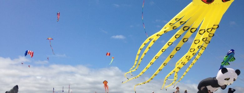 Kitty Hawk Kites Rogallo Kite Festival