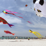 Kitty Hawk Kites - Florida