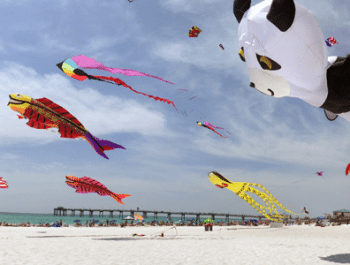 Kitty Hawk Kites - Florida