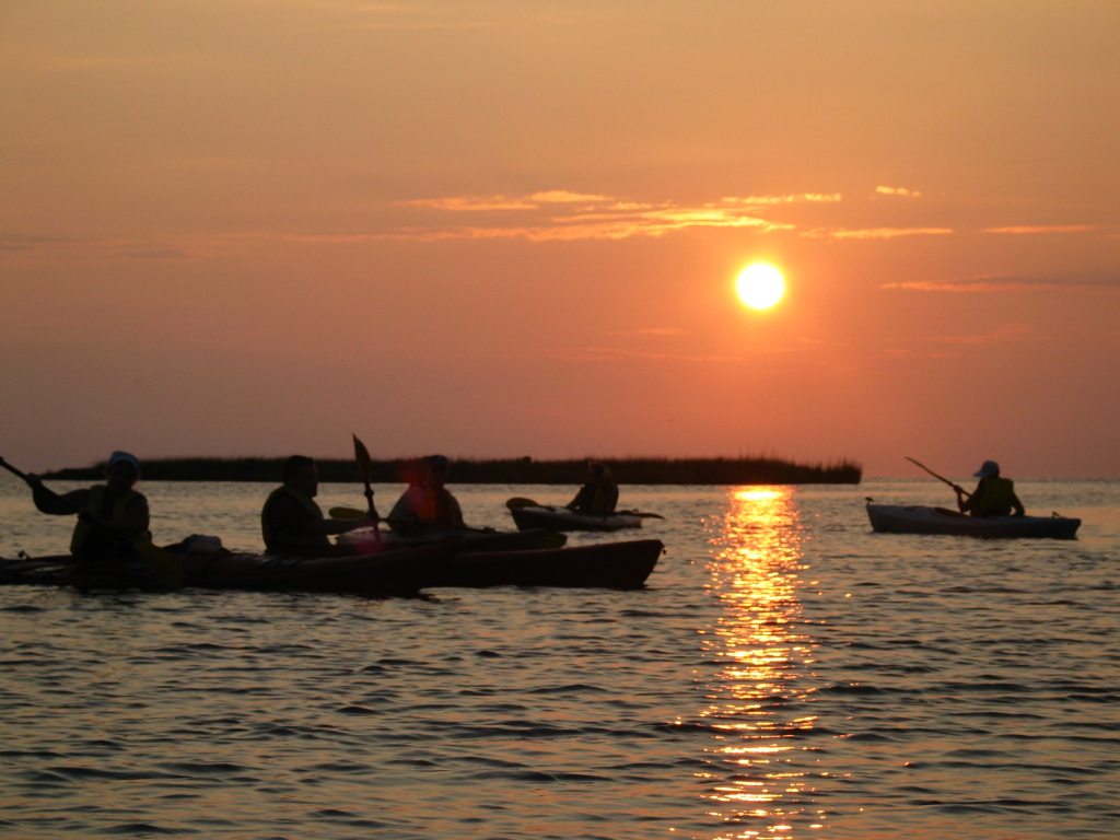 Corolla Salt Marsh Sunset Kayak Tour