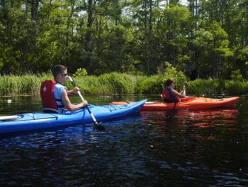 Blue and orange kayak on Alligator River Tour in the Outer Banks