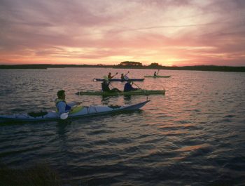 Nags Head Bioluminescence Night Kayak Tour