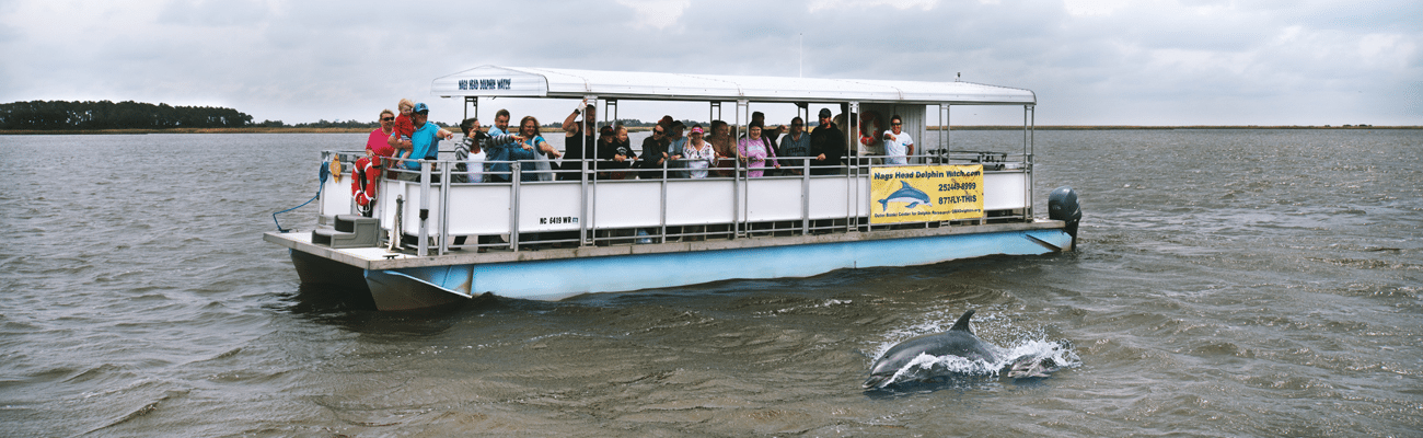 dolphin tours near me dolphin tours near me