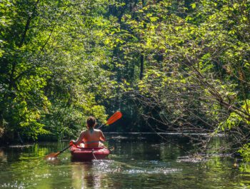 Alligator River Kayak Tour