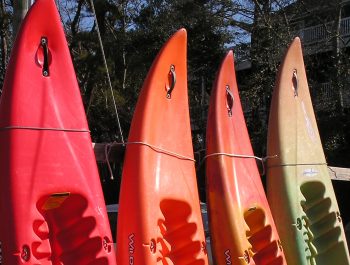 Ocean Kayak Tours