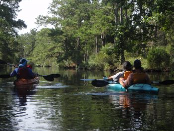 OBX Kayak Tours