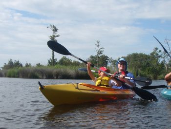 Corolla Salt Marsh Kayak Tour