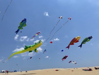 41tst Annual Rogallo Kite Festival