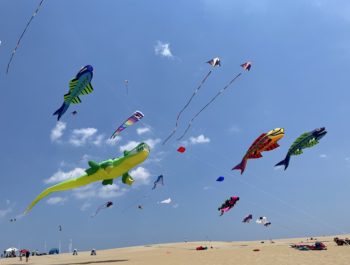 Outer Banks Rogallo Kite Festival