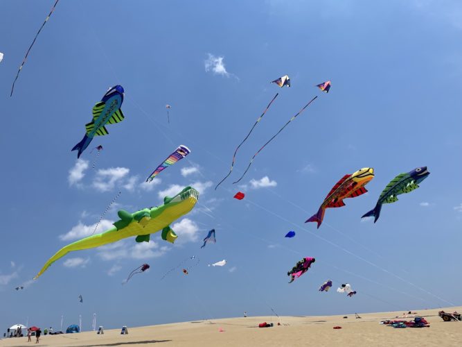 41st Annual Rogallo Kite Festival