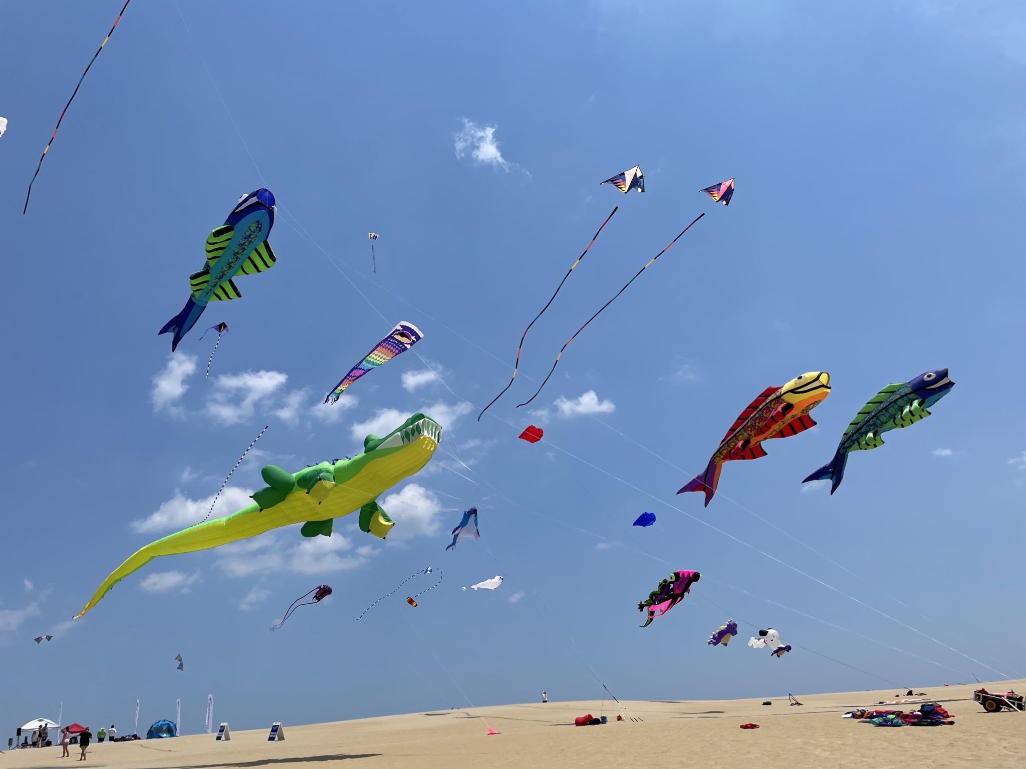Kite Festival
