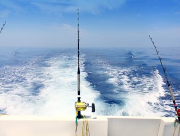 Off-Shore Chartered Fishing