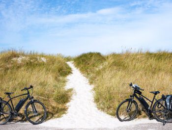 Electric Bike Rentals