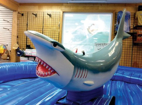 Mechanical Shark Mechanical Shark