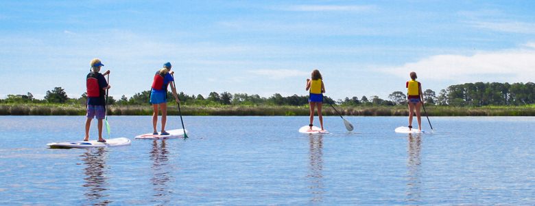 Stand Up Paddleboards