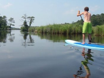 Virginia Beach Stand Up Paddleboarding