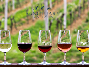 Sanctuary Vineyard Voyage