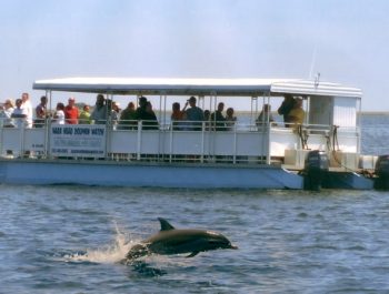 kitty hawk kites dolphin tour coupon