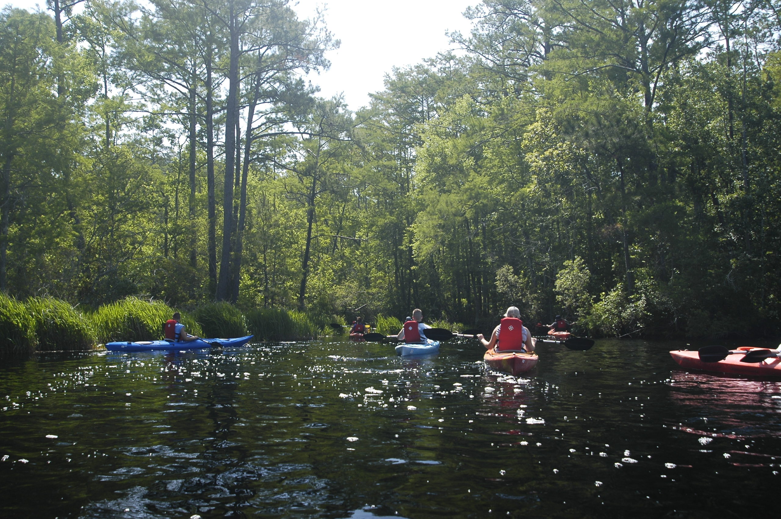 Alligator River Kayaking