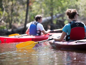 Kayak Eco-Tour