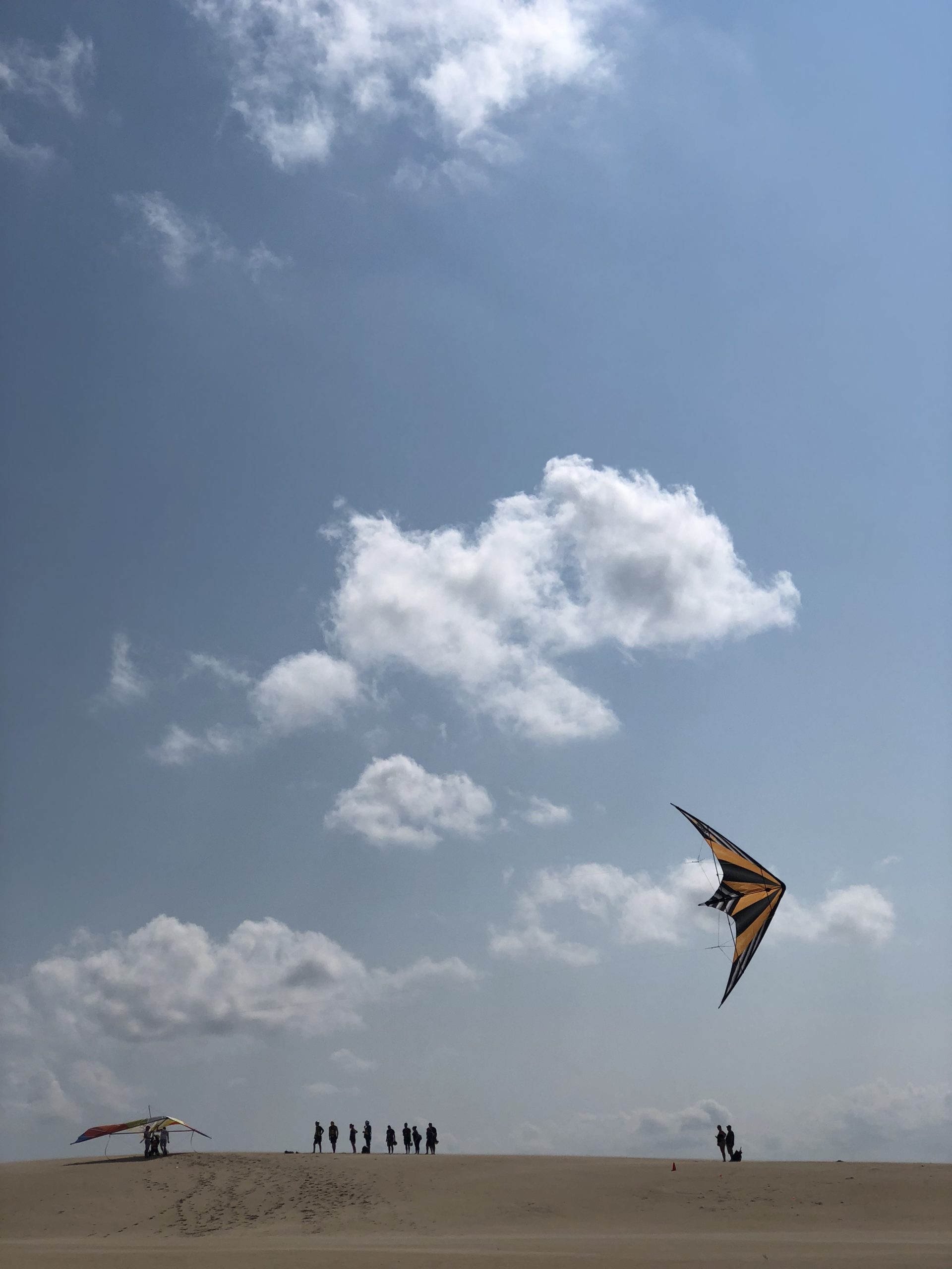 Learn to Fly a Stunt Kite