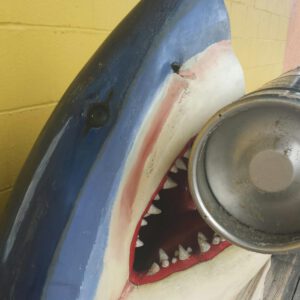 a keg that will soon fly at the annual Kitty Hawk Kites OBX Brewtag sits in the mouth of a shark here at the Outer Banks