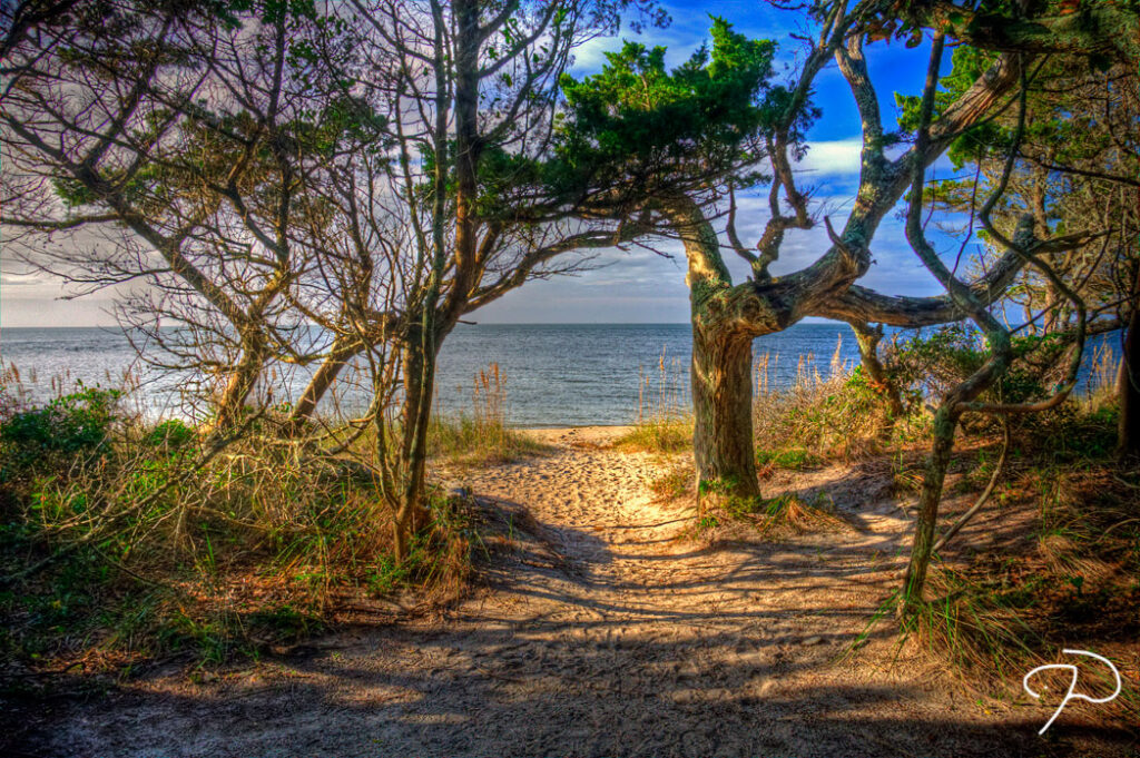 The location of Teach's Hole on Ocracoke Island on the Outer Banks