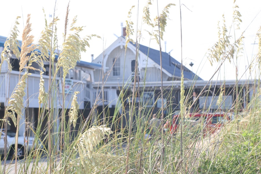 Black Pelican Restaurant in the Outer Banks