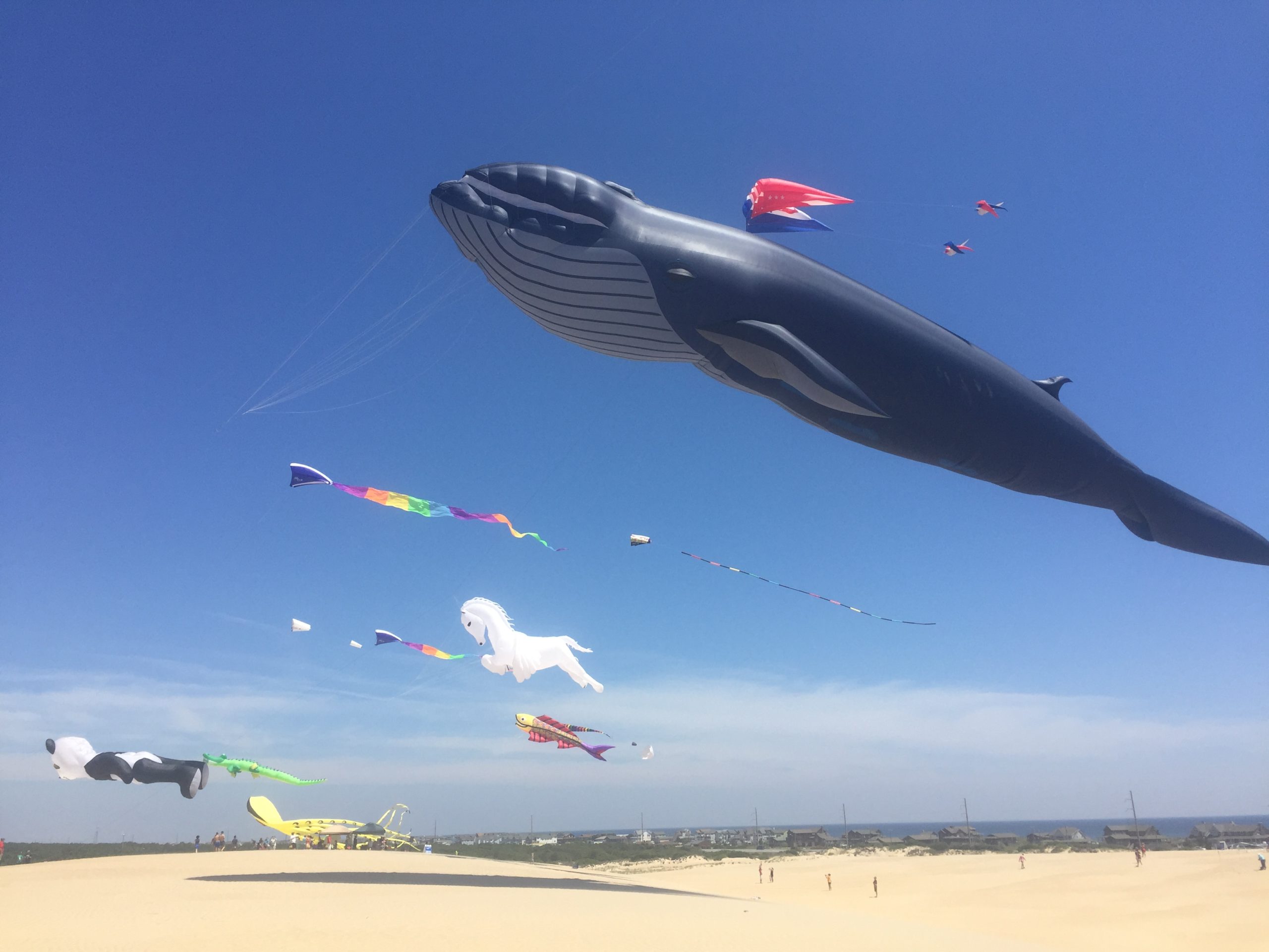 allkites