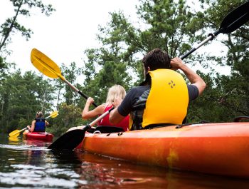 KAYAK TOURS - SAVE $10