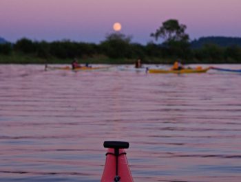 bioluminescence kayak tours