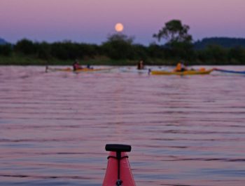 Night Time Kayak Tours