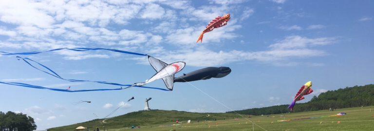 A kite festival with an assortment of sea life show kites