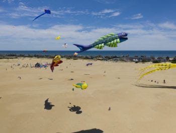 Virtual kite festival