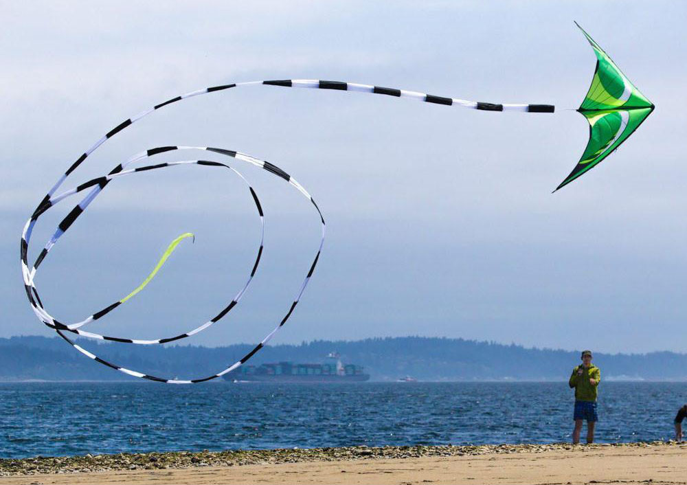 The Beginner’s Guide to Kites