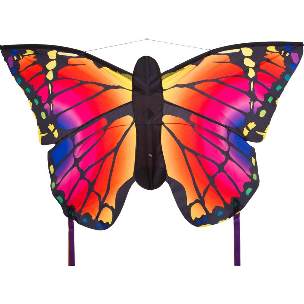 ruby butterfly kite for kids