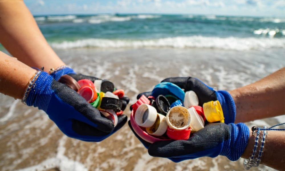 Supporting Sustainability