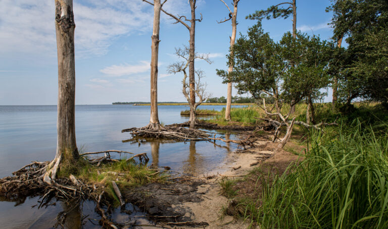Earth Day in the OBX: Environmental Awareness with the help of Will Freund