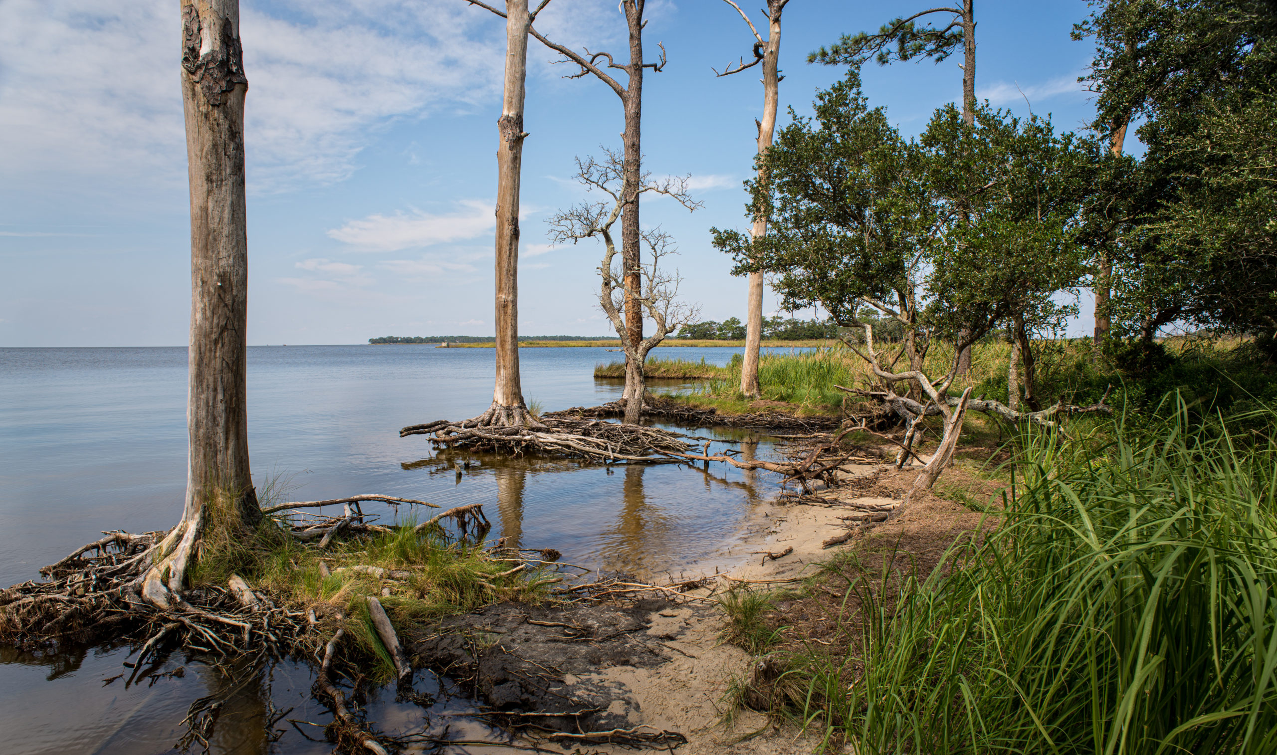 Earth Day in the OBX: Environmental Awareness with the help of Will Freund