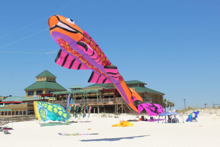 Fly Into Spring Kite Festival