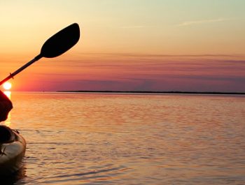 Kayaking OBX: The Most Scenic Places to Paddle