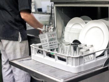 Dishwasher/Busser