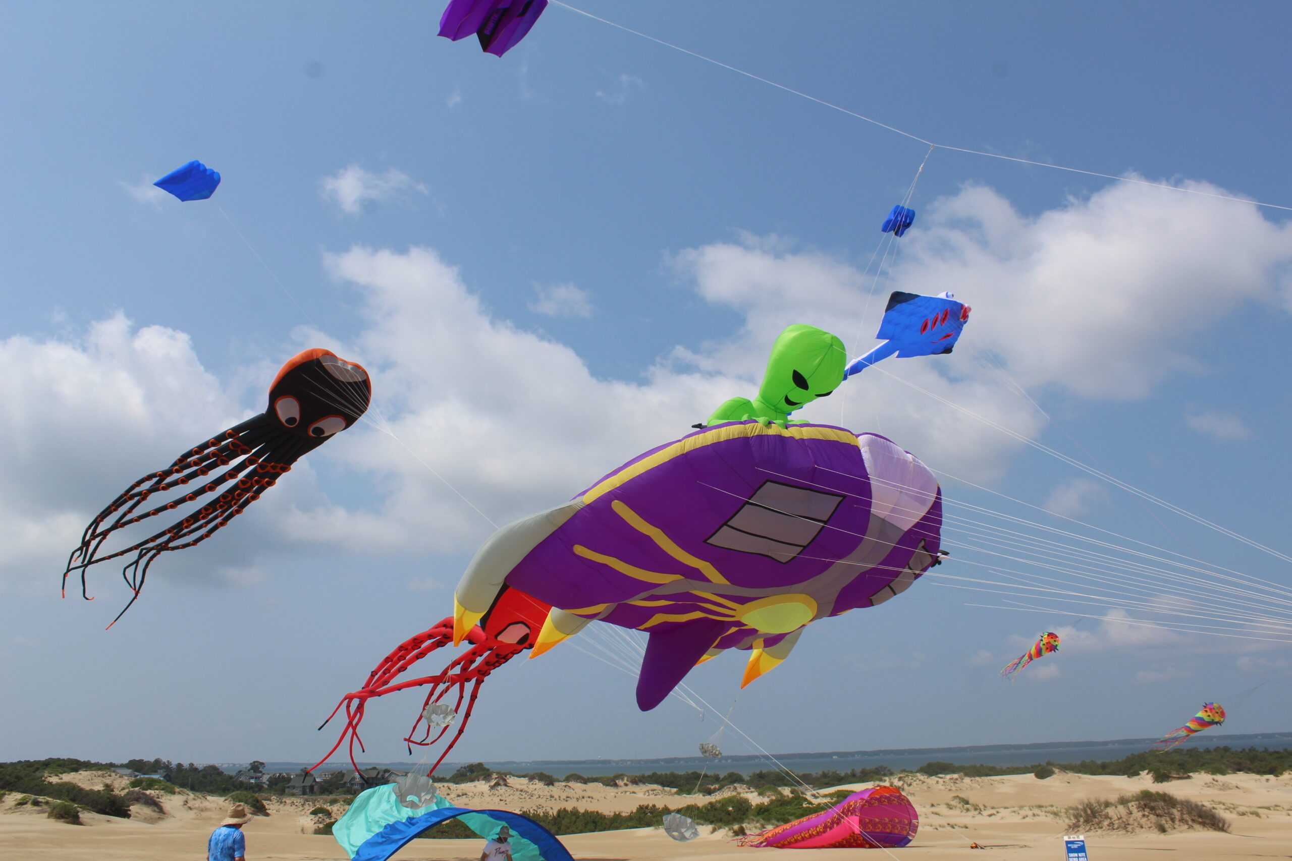 jockeys ridge Kite flying at Jockey's Ridge State Park