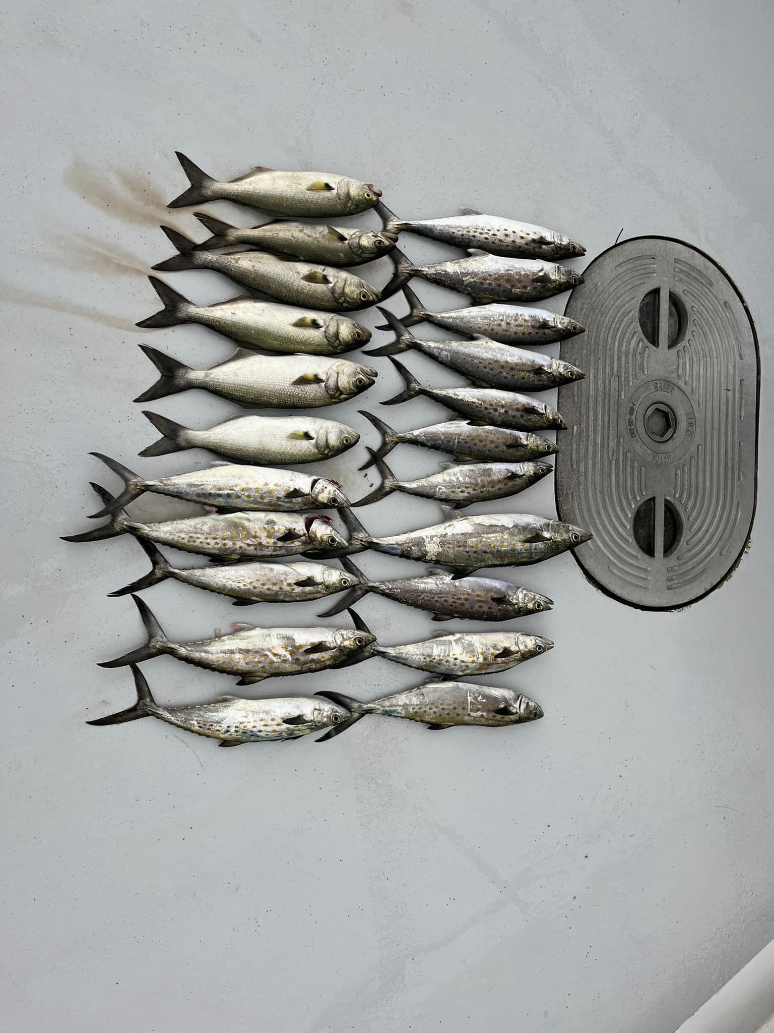 Ocean Head Boat Fishing Trips Kitty Hawk Kites