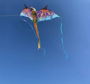 dragon 3-D dragon kite