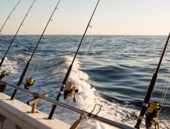 Nearshore - Carolina Blue Fishing Charter