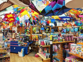 Kitty Hawk Kites | Assistant Store Manager